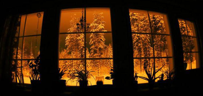  žiemos vaizdas iš lango kompozicijos