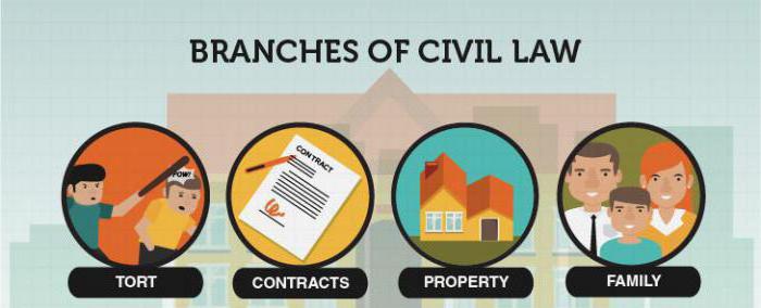 civilinės proceso teisės koreliacija su kitais filialais